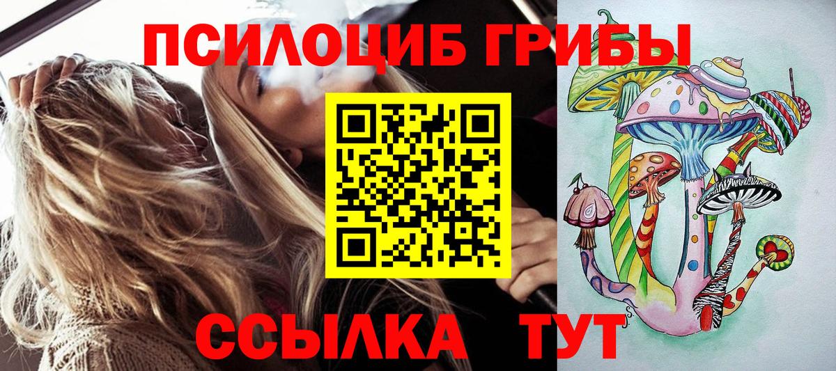 Галлюциногенные грибы ЛСД  Псилоцибиновые грибы ЛСД  Коркино  даркнет сайт  Вход с VPN 